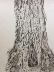 mechanical pencil sketch of a tree